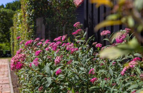 Sonnenwieck 02 - Foto 32