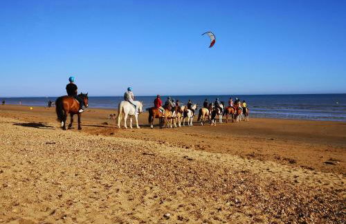 Apb Spa locations avec jacuzzi privatif - Foto 33