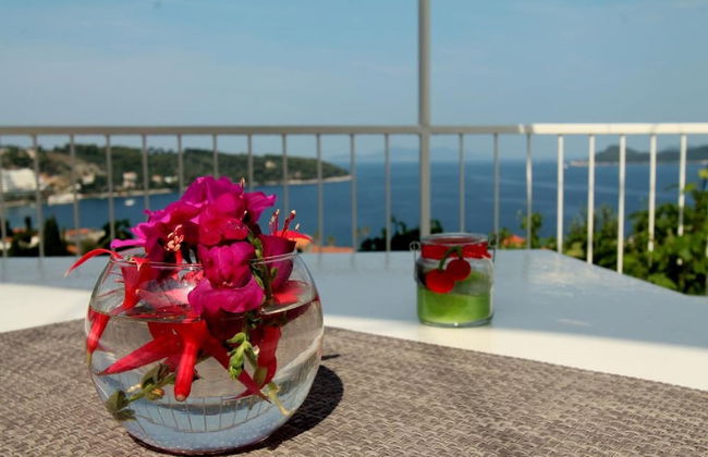 Holiday rental in Dubrovnik with garden - Photo 1