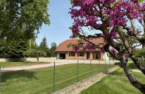Aux souvenirs d'enfance - Foto 2