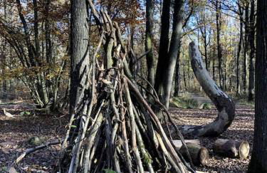 Maison de charme nichée dans le bois pour vivre une expérience unique - Foto 24