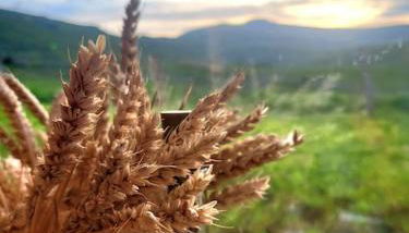 Duplex 4/6p Le Familial - Foto 5