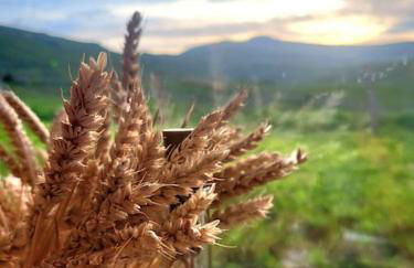 Duplex 4/6p Le Familial - Foto 5