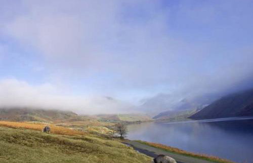 Raceside Farm - Foto 13