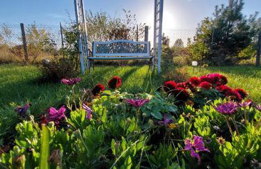 Domki pod Łebą - Photo 11