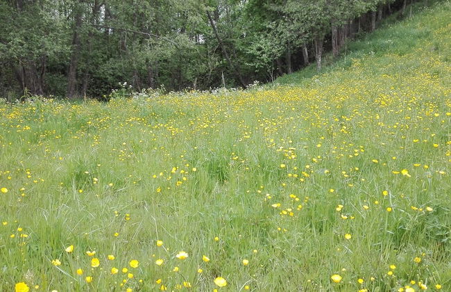 7 Person Holiday Home in Borlange-by Traum - Foto 17