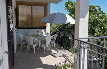 House Silva - Photo 5