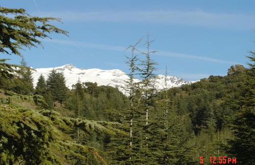 Cortijo Prado Toro - Foto 57