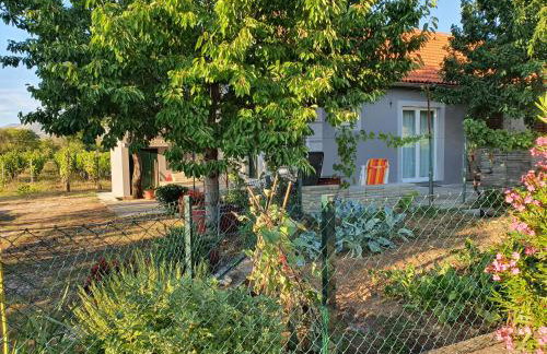 Country House Iva - Foto 9