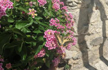 Le Rocche Valnerina Residence - Foto 37