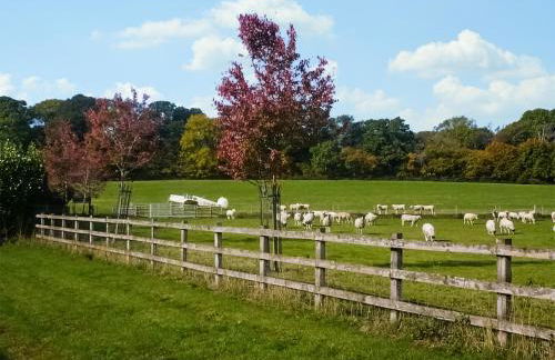 Cottage 3 - Uk46609 - Foto 14