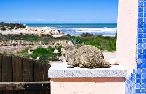 Casa Playa - Photo 29