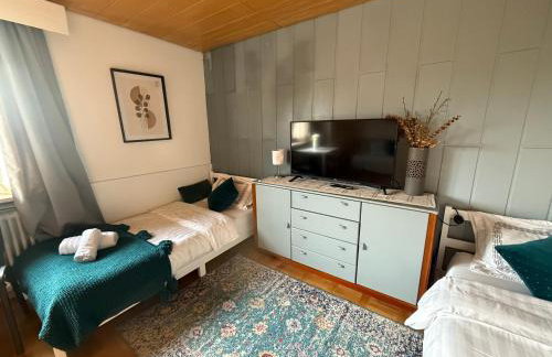 EMI2 Modern Apartment Free Parking Near Swiss Border - Foto 15