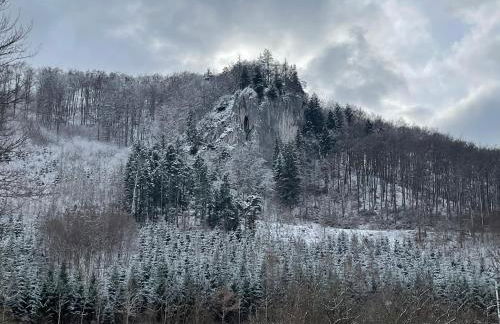 ZwergDackelAdlerHirsch - Foto 34