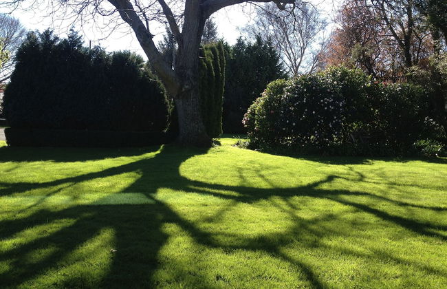 Walnut Grove Lodge - Foto 63