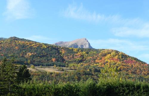 Appartement dans maison Entre Savines et Embrun - Foto 7