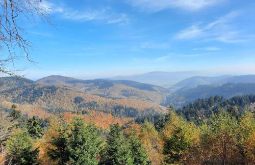 Domek Ostoja - Foto 51