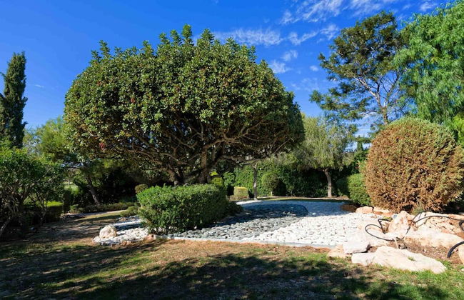 Villa 64 - Anarita in Kouklia - Photo 29