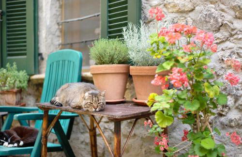 Workation Castle - Casa Tremezzo - Foto 32