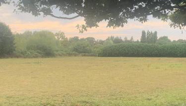 The Little Red Lion Thorpe - Foto 5