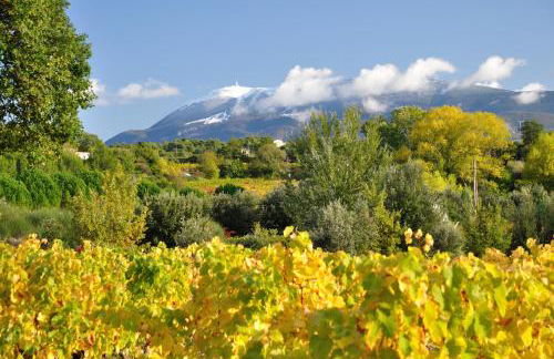 Maison Bijoux-de-Provence "Oliviers" - Foto 19