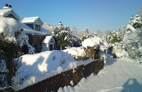 Sycamore Cottage - Photo 1