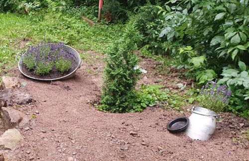 Jägerhaus - Foto 24