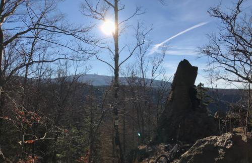 Luxus Ferienhäuser Chalets zum Ilsetal mit Kamin & Sauna in Ilsenburg im Harz - Foto 42