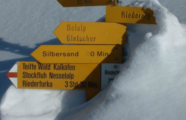 Amici 1. OG West - Foto 33