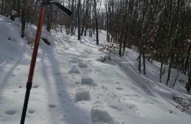 Sunny House -Charming apartment in the nature - Foto 25