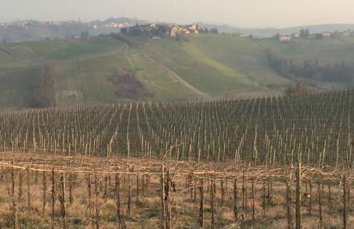 Villa Zene - Foto 54