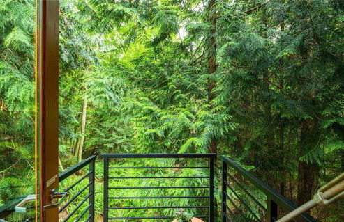 Guemes Island Road Modern Home - Foto 57