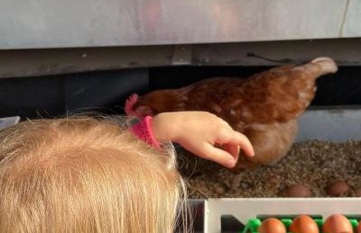 Weidelandfarm am Riebener See - Photo 21