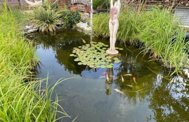 Jenszu Ferienwohnung - Foto 10