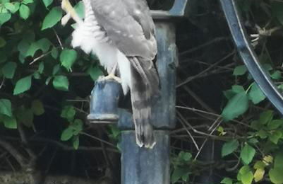 The Sanctuary at Boningale Manor - Foto 11