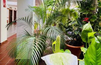 Aloha - Costa del Silencio - Foto 22