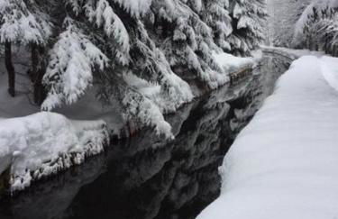 Schweizer Häusl - Foto 19