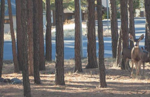 2 Living Rooms Fires Quick Drive Downtown - Foto 49