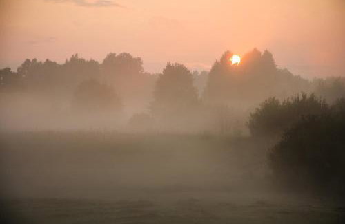Masuria Warsaw - dom na wyłączność - w lesie i przy rzece - 15 min od Warszawy - Foto 62