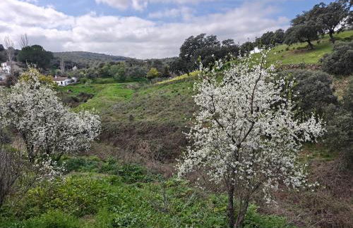 Casa rural rio yeguas - Foto 23