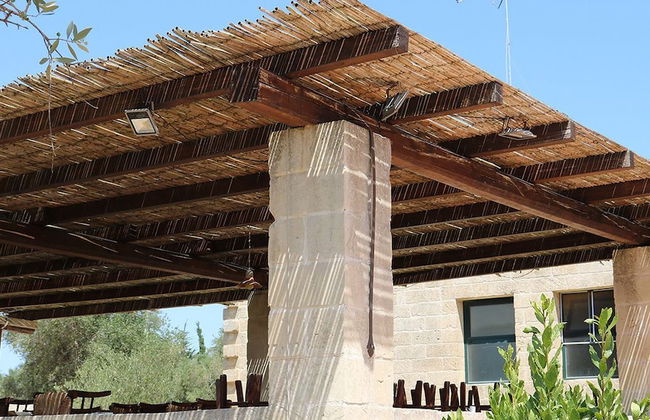 La Trottoria - Photo 31