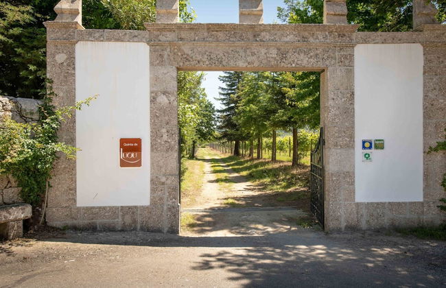 Holiday Home in Ponte de Lima With Pool - Foto 26