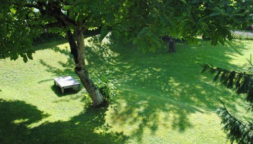 Ferienhaus Joos - Foto 5