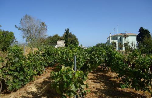 Luxury Beachfront Villa Poseidon Artemisiou Παραθαλάσσια Βίλα στην βόρεια Εύβοια για φιλοξενία 9 ατόμων - Foto 52