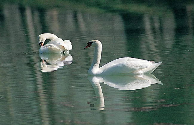 Apartment in Umbria Near Lake Trasimeno - Foto 40