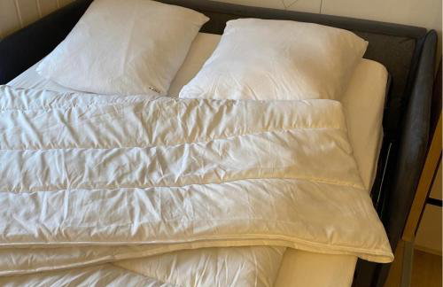 FLOR de MONTANHAS Appt vacances 4P- La Pierre St Martin GR10 - Foto 12