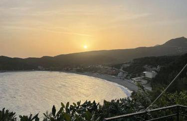 Olive Garden Studio - Foto 44