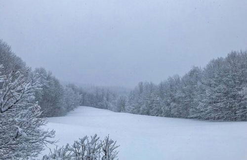 North Hill Cabin - Foto 26