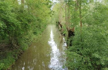 Logis de LANGE studio 2 p - Foto 51