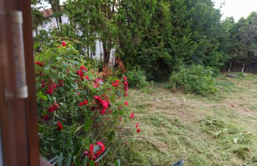 Free Bikes, WiFi, AC, Garden, 2 Beds - Foto 29